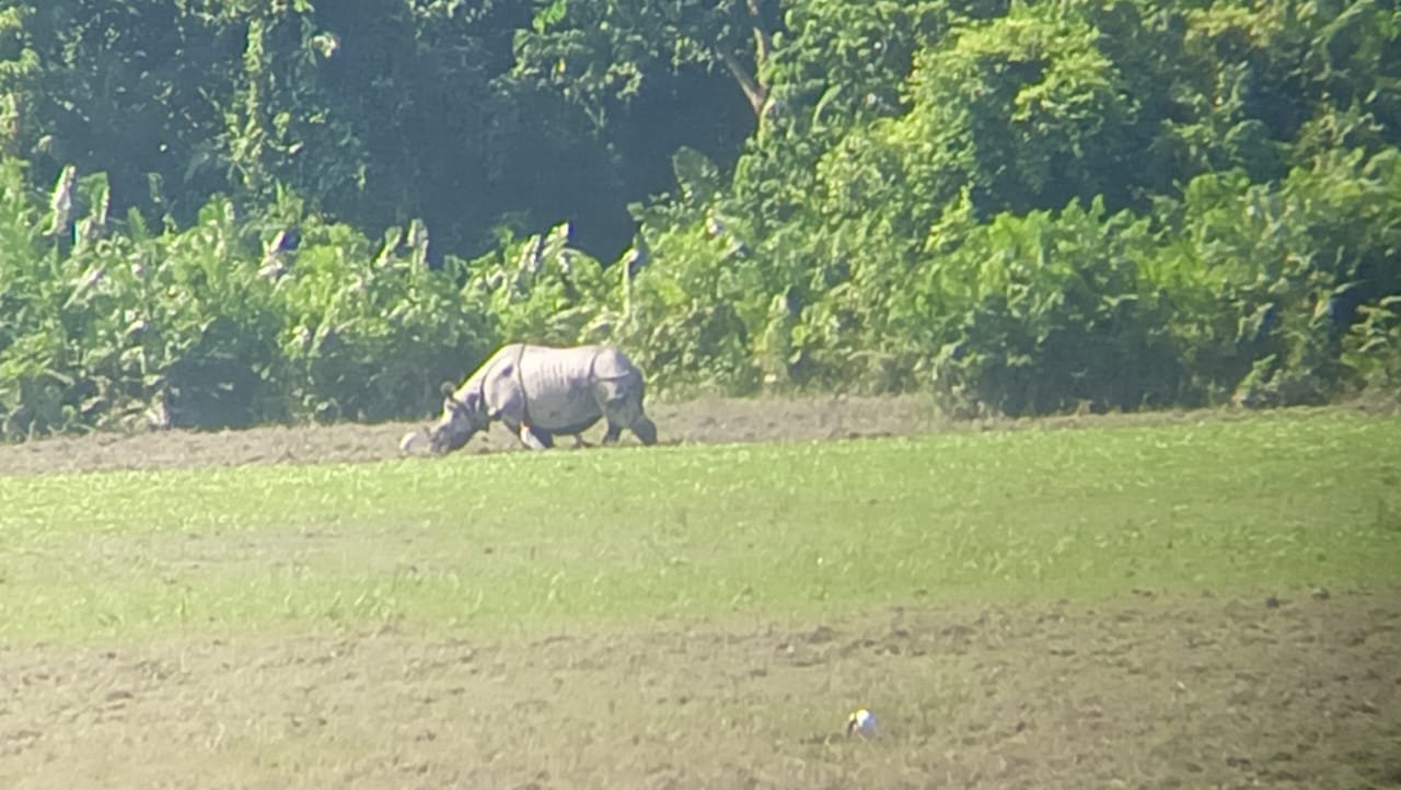 WhatsApp Image 2025-10-21 at 8.53.53 AM